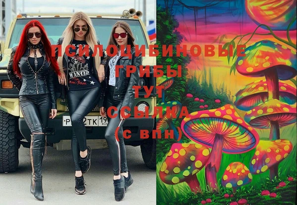 не бодяженный Алзамай