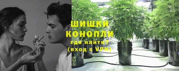 шишки Алексеевка