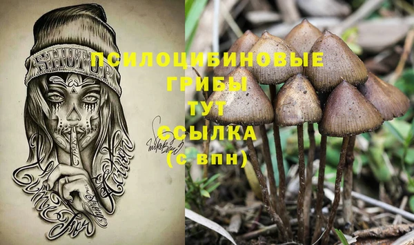 не бодяженный Алзамай