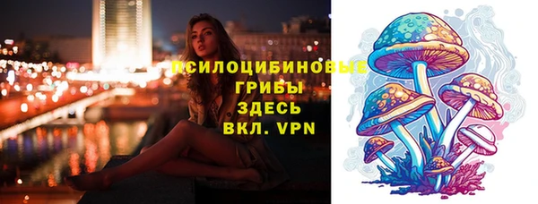 шишки Алексеевка