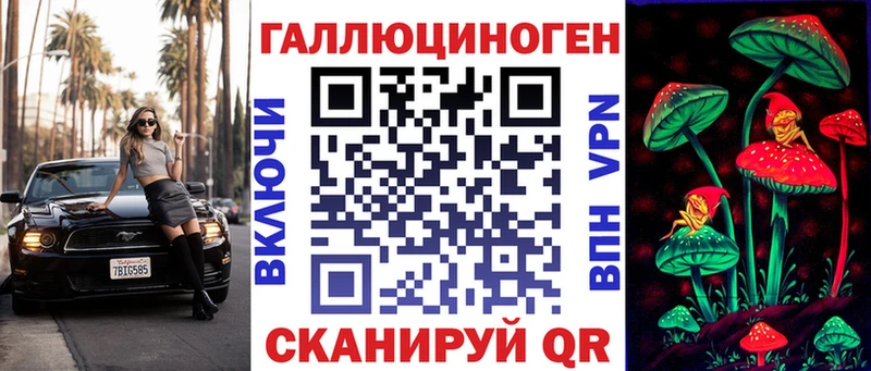 MEGA ONION  Карачаевск  Псилоцибиновые грибы Psilocybe 